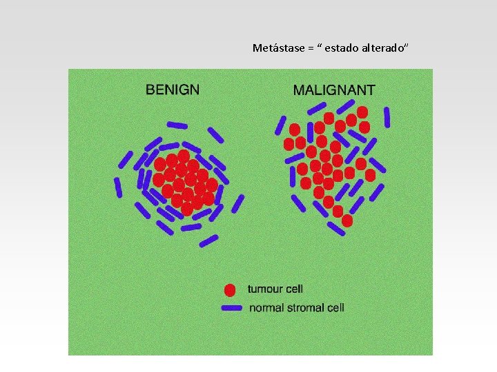 Metástase = “ estado alterado” 