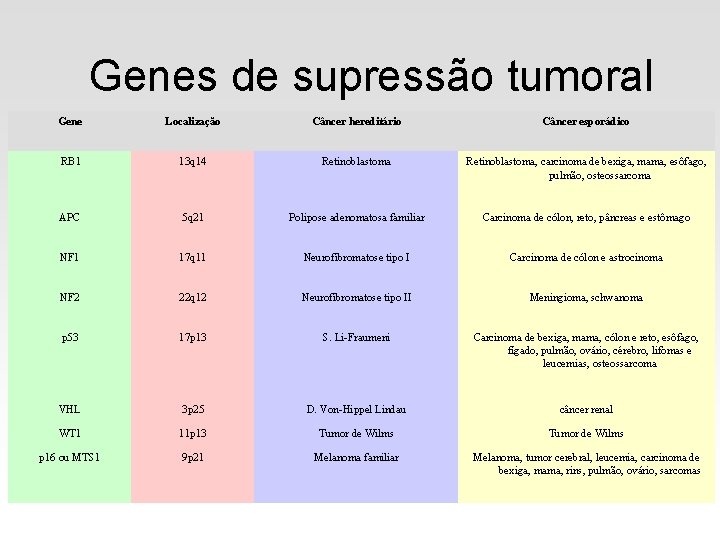 Genes de supressão tumoral Gene Localização Câncer hereditário Câncer esporádico RB 1 13 q