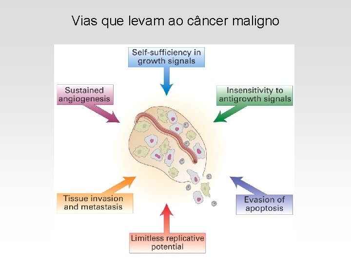 Vias que levam ao câncer maligno 