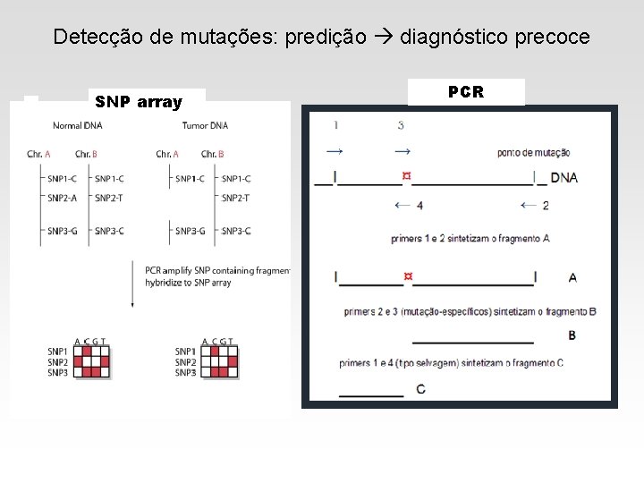 Detecção de mutações: predição diagnóstico precoce SNP array PCR 