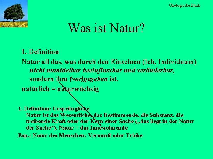 Ökologische Ethik Was ist Natur? 1. Definition Natur all das, was durch den Einzelnen