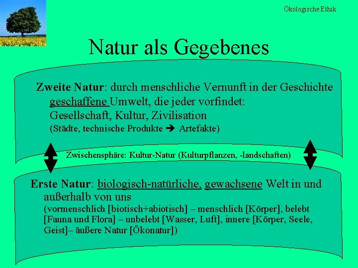 Ökologische Ethik Natur als Gegebenes Zweite Natur: durch menschliche Vernunft in der Geschichte geschaffene