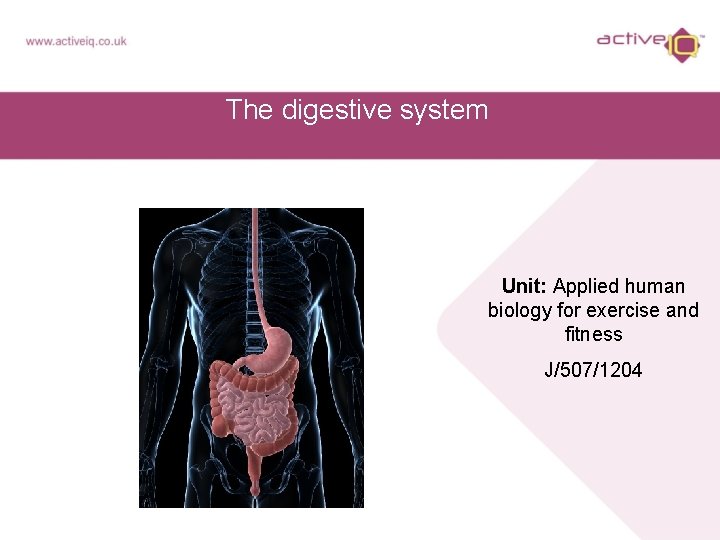 The digestive system Unit: Applied human biology for exercise and fitness J/507/1204 