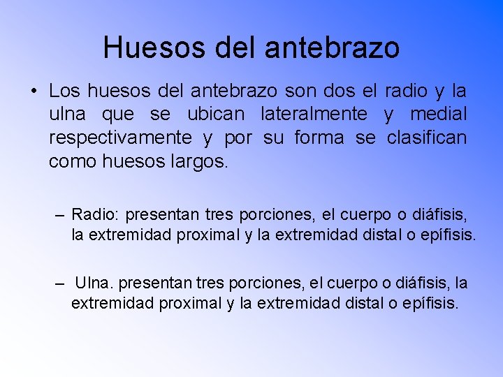 Huesos del antebrazo • Los huesos del antebrazo son dos el radio y la