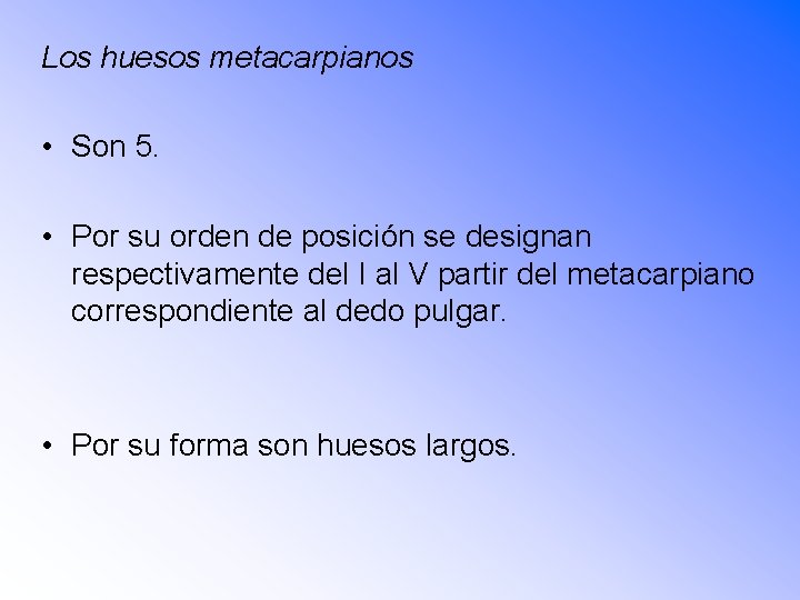 Los huesos metacarpianos • Son 5. • Por su orden de posición se designan