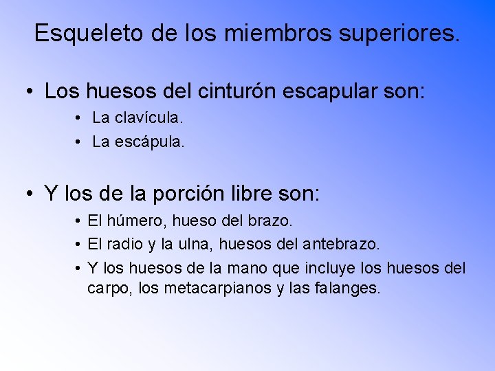 Esqueleto de los miembros superiores. • Los huesos del cinturón escapular son: • La