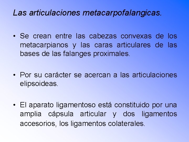 Las articulaciones metacarpofalangicas. • Se crean entre las cabezas convexas de los metacarpianos y