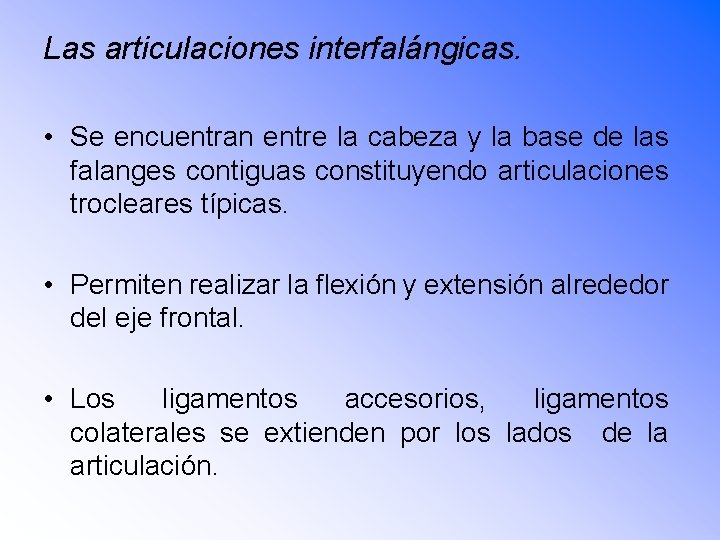 Las articulaciones interfalángicas. • Se encuentran entre la cabeza y la base de las