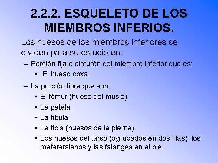 2. 2. 2. ESQUELETO DE LOS MIEMBROS INFERIOS. Los huesos de los miembros inferiores