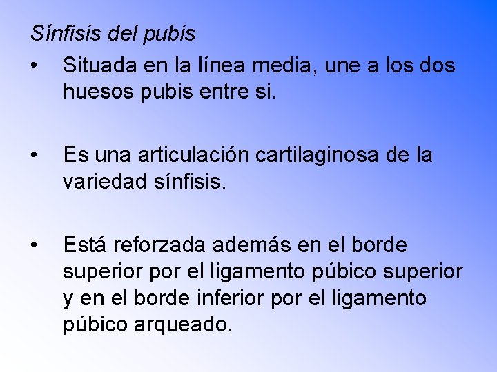 Sínfisis del pubis • Situada en la línea media, une a los dos huesos