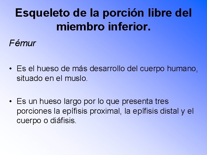 Esqueleto de la porción libre del miembro inferior. Fémur • Es el hueso de