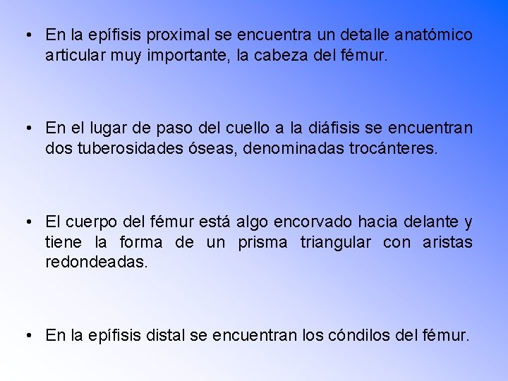  • En la epífisis proximal se encuentra un detalle anatómico articular muy importante,