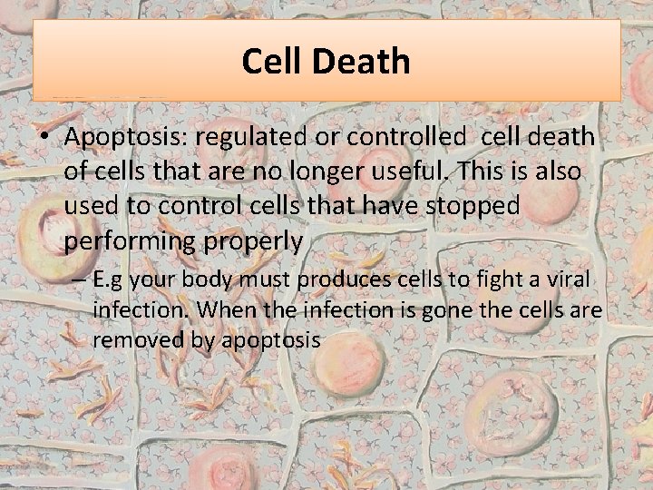 Cell Death • Apoptosis: regulated or controlled cell death of cells that are no