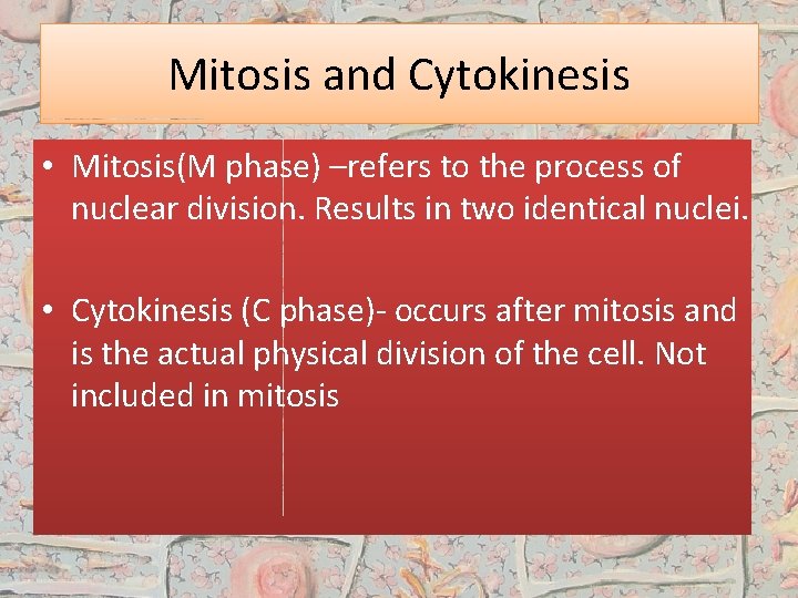 Mitosis and Cytokinesis • Mitosis(M phase) –refers to the process of nuclear division. Results