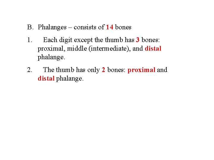 B. Phalanges – consists of 14 bones 1. Each digit except the thumb has