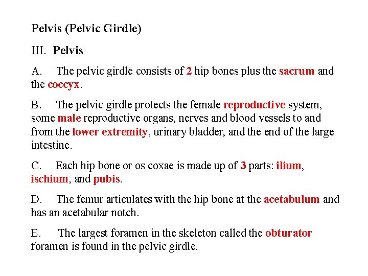 Pelvis (Pelvic Girdle) III. Pelvis A. The pelvic girdle consists of 2 hip bones