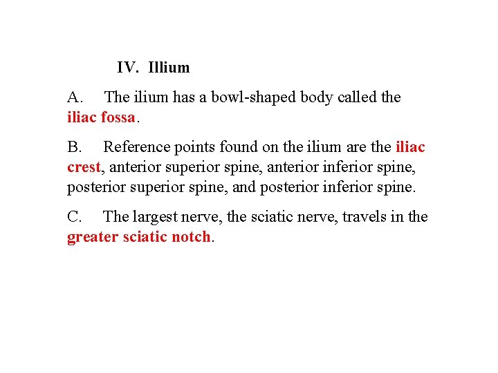 IV. Illium A. The ilium has a bowl-shaped body called the iliac fossa. B.