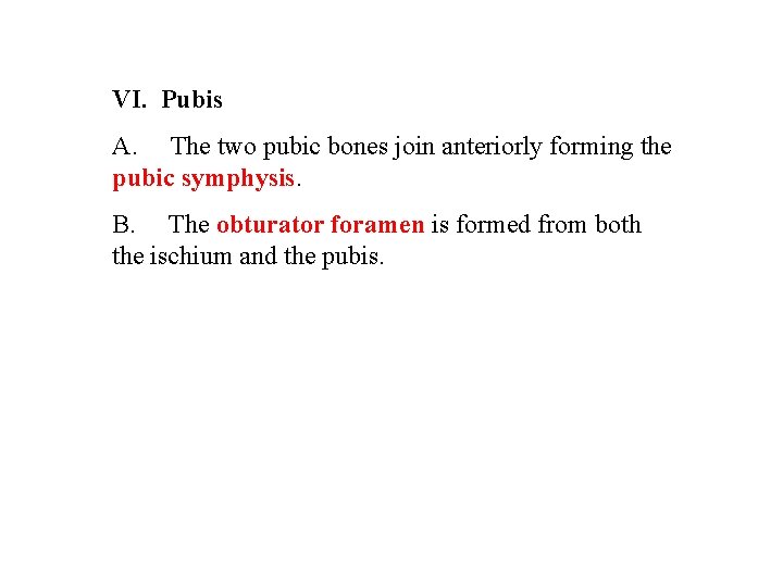 VI. Pubis A. The two pubic bones join anteriorly forming the pubic symphysis. B.