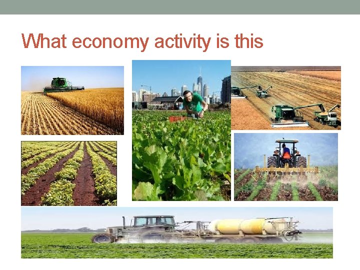 What economy activity is this 