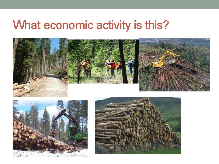 What economic activity is this? 