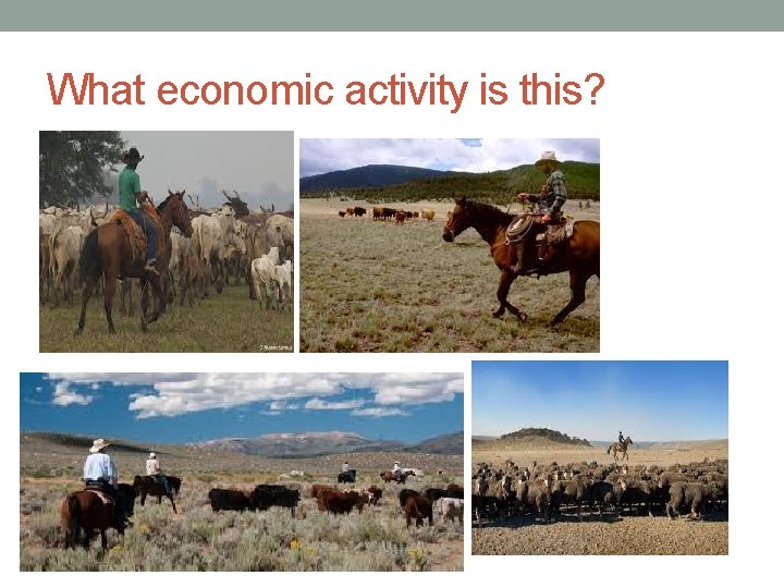 What economic activity is this? 