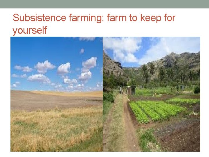 Subsistence farming: farm to keep for yourself 