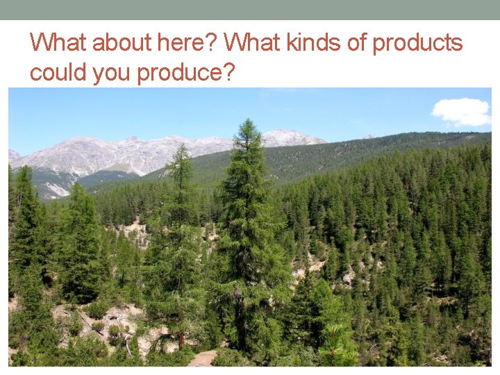 What about here? What kinds of products could you produce? 