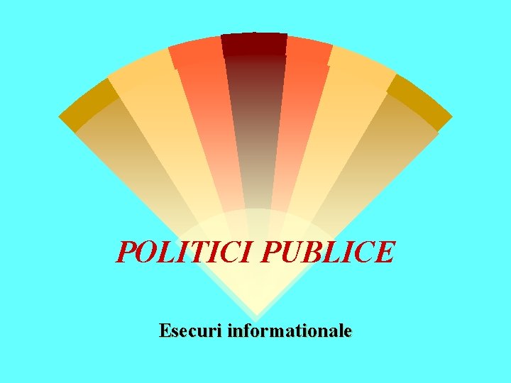 POLITICI PUBLICE Esecuri informationale 