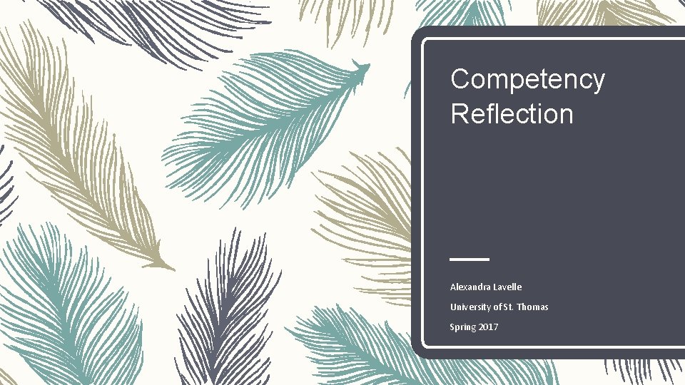Competency Reflection Alexandra Lavelle University of St. Thomas Spring 2017 