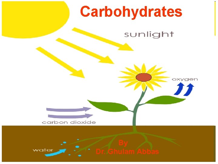 Carbohydrates By Dr. Ghulam Abbas 
