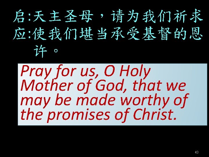 启: 天主圣母，请为我们祈求。 应: 使我们堪当承受基督的恩 许。 Pray for us, O Holy Mother of God, that