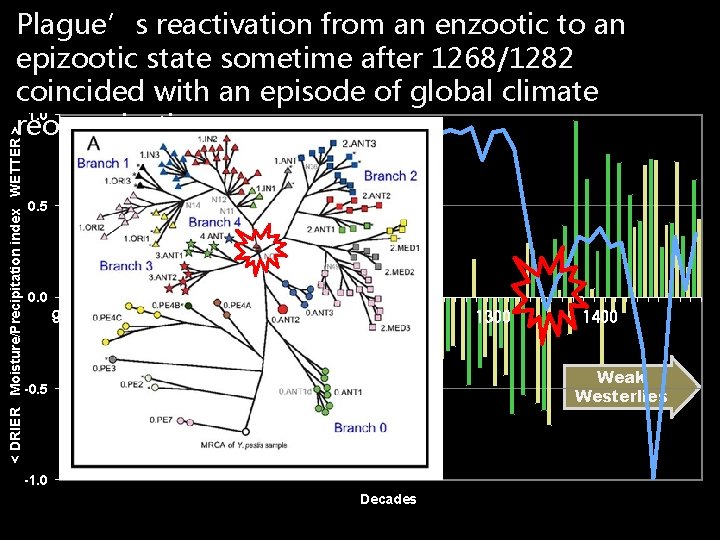 < DRIER Moisture/Precipitation index WETTER > Plague’s reactivation from an enzootic to an epizootic < DRIER Moisture/Precipitation index WETTER > Plague’s reactivation from an enzootic to an epizootic