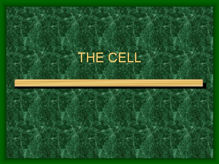 THE CELL 