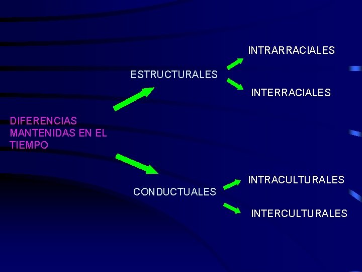 INTRARRACIALES ESTRUCTURALES INTERRACIALES DIFERENCIAS MANTENIDAS EN EL TIEMPO INTRACULTURALES CONDUCTUALES INTERCULTURALES 