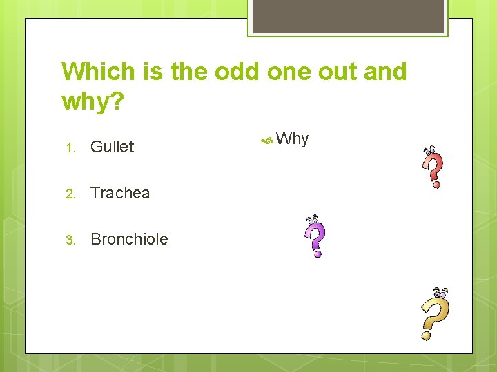 Which is the odd one out and why? 1. Gullet 2. Trachea 3. Bronchiole