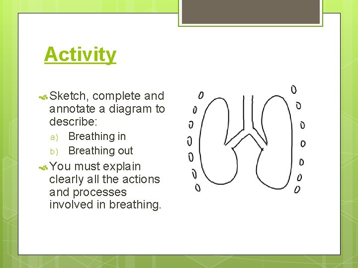 Activity Sketch, complete and annotate a diagram to describe: a) b) Breathing in Breathing