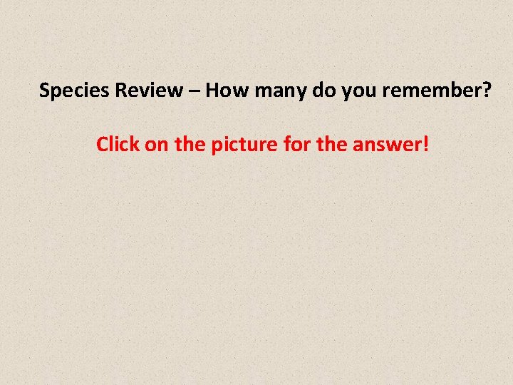 Species Review – How many do you remember? Click on the picture for the