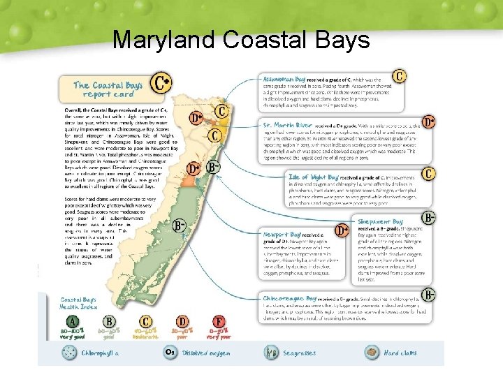 Maryland Coastal Bays 