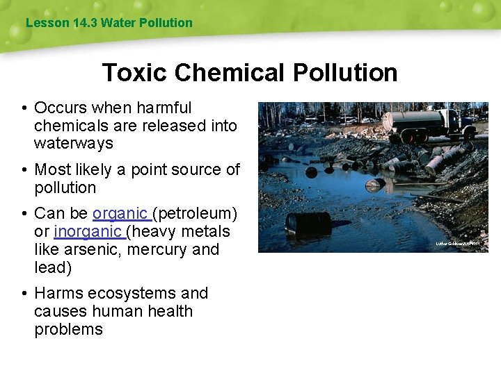 Lesson 14. 3 Water Pollution Toxic Chemical Pollution • Occurs when harmful chemicals are