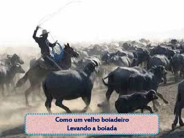 Como um velho boiadeiro Levando a boiada 