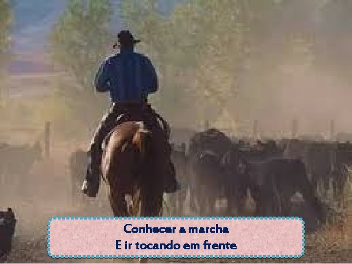 Conhecer a marcha E ir tocando em frente 