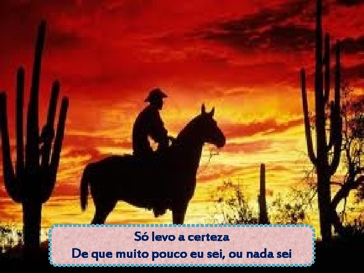 Só levo a certeza De que muito pouco eu sei, ou nada sei 