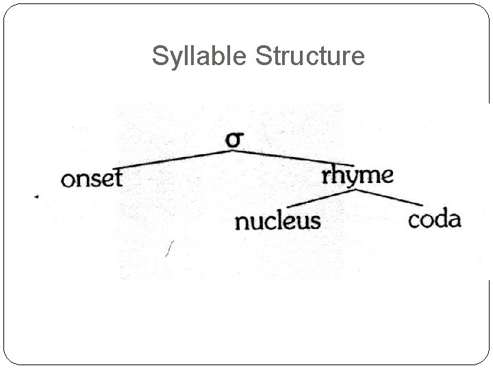 An Introduction To Linguistics Lecturer Nguyen Van Nhan