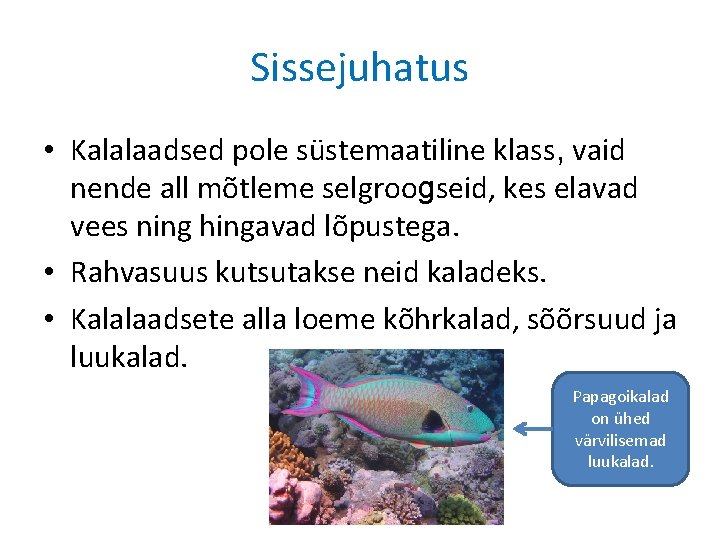 Sissejuhatus • Kalalaadsed pole süstemaatiline klass, vaid nende all mõtleme selgroogseid, kes elavad vees