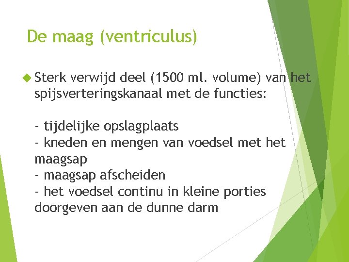 De maag (ventriculus) Sterk verwijd deel (1500 ml. volume) van het spijsverteringskanaal met de