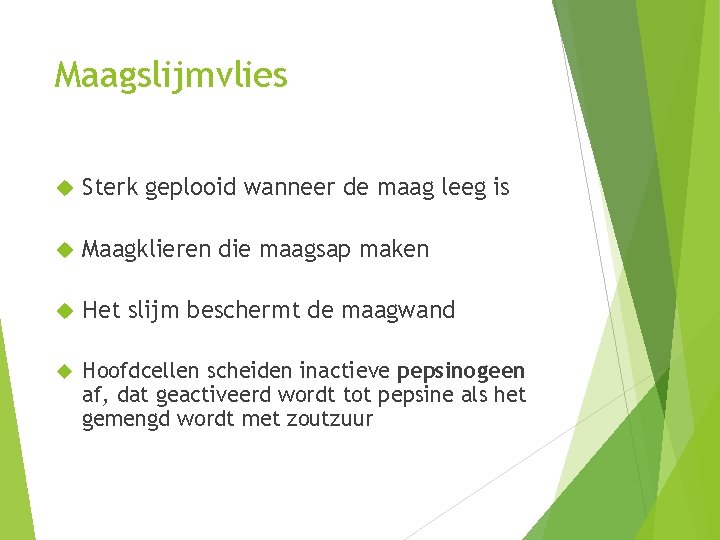 Maagslijmvlies Sterk geplooid wanneer de maag leeg is Maagklieren die maagsap maken Het slijm