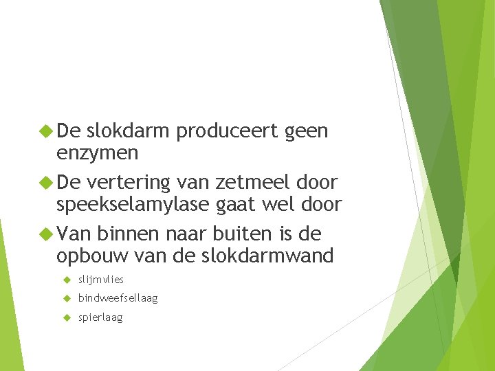  De slokdarm produceert geen enzymen De vertering van zetmeel door speekselamylase gaat wel