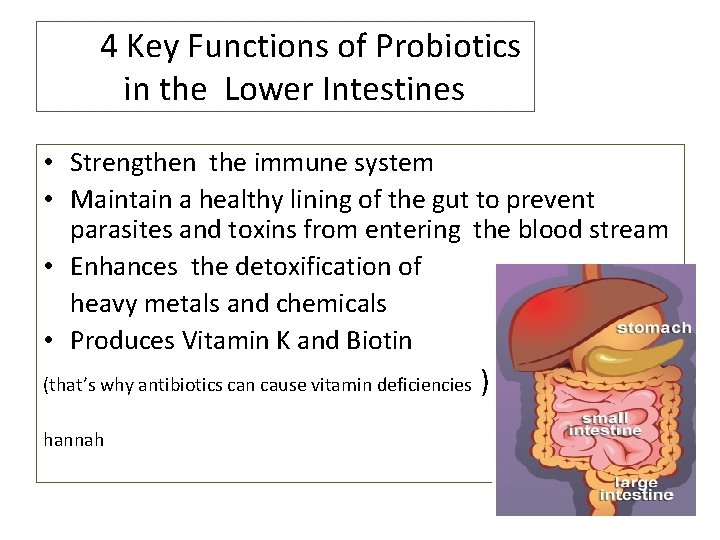 4 Key Functions of Probiotics in the Lower Intestines • Strengthen the immune system 4 Key Functions of Probiotics in the Lower Intestines • Strengthen the immune system