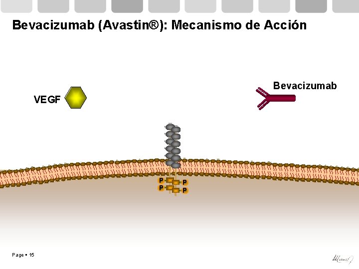 Bevacizumab (Avastin®): Mecanismo de Acción Bevacizumab VEGF P P Page 15 P P 