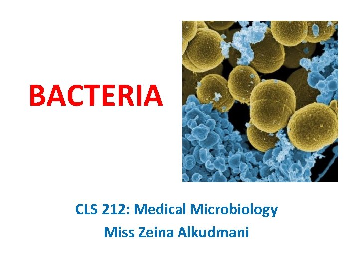 BACTERIA CLS 212: Medical Microbiology Miss Zeina Alkudmani 